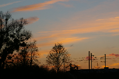 IMGP0435