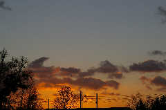 IMGP0529