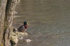 IMGP1624