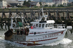 IMGP3584
